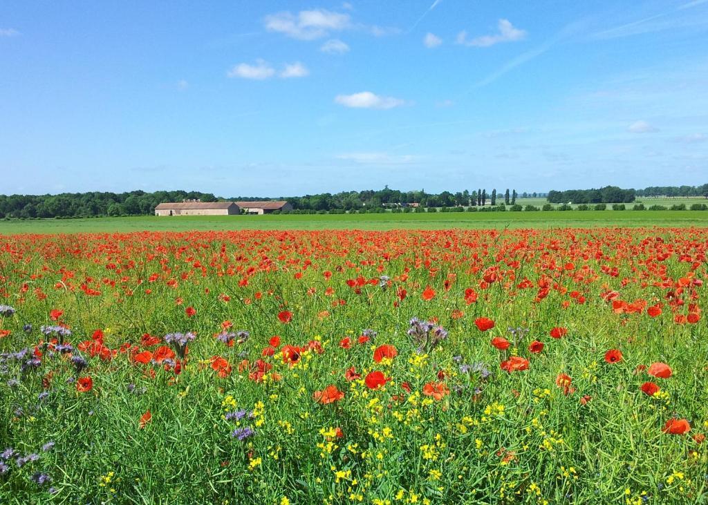Ferme D'Orsonville Villiers-en-Biere ภายนอก รูปภาพ